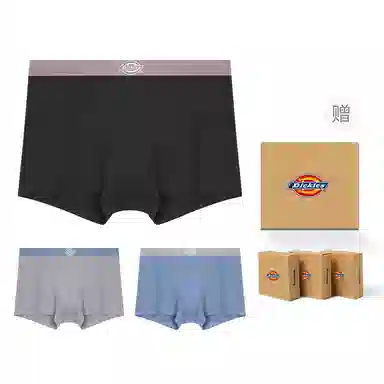 Dickies Seamless Boxer Brief Set