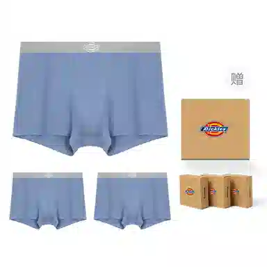 Dickies Seamless Boxer Brief Set