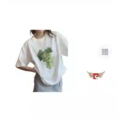 PIERRE CARDIN t T