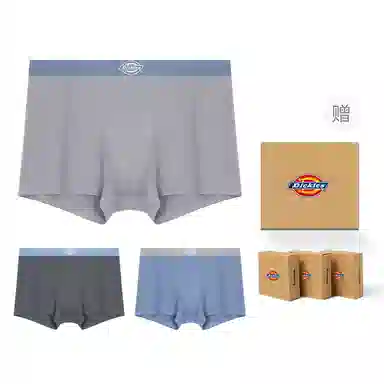 Dickies Seamless Boxer Brief Set