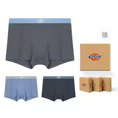 Dickies Seamless Boxer Brief Set