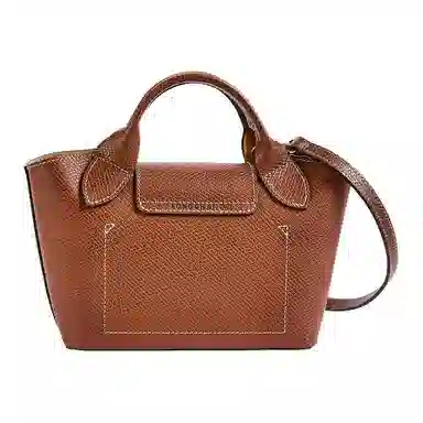 Longchamp Epure Brown