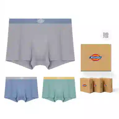 Dickies Seamless Boxer Brief Set