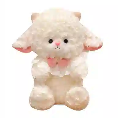 25cm40cm