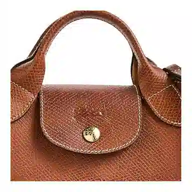 Longchamp Epure Brown