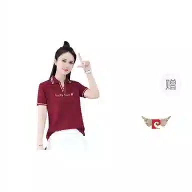 PIERRE CARDIN POLO T