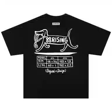 88rising T