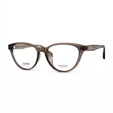 PARZIN