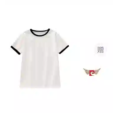 PIERRE CARDIN tins T