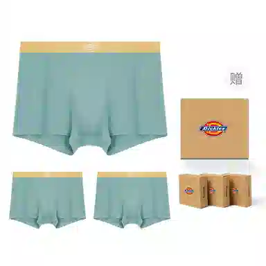 Dickies Seamless Boxer Brief Set