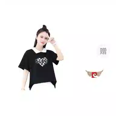 PIERRE CARDIN polo T