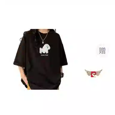 PIERRE CARDIN inst T
