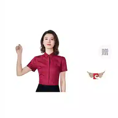 PIERRE CARDIN