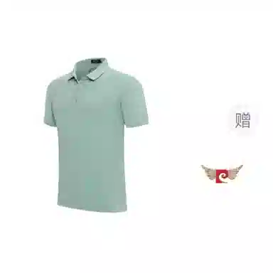 PIERRE CARDIN POLO T