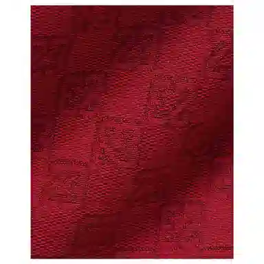 Jordan 23 Monogram Camera Bag University Red