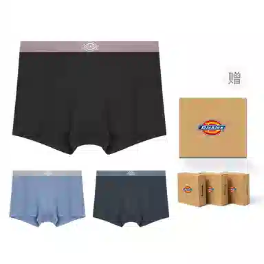 Dickies Seamless Boxer Brief Set