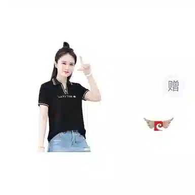 PIERRE CARDIN POLO T