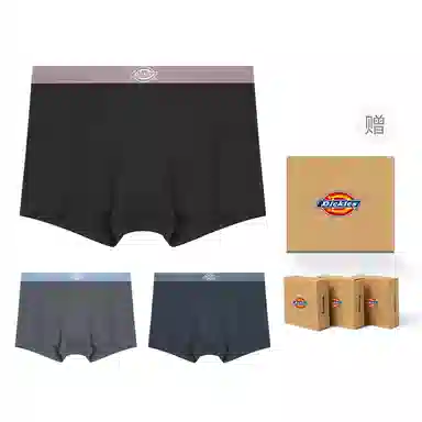 Dickies Seamless Boxer Brief Set