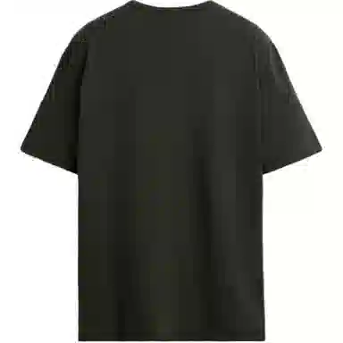 ZARA T