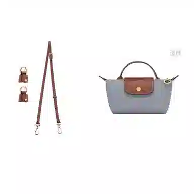Longchamp Mini