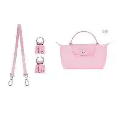 Longchamp Mini Bag Strap