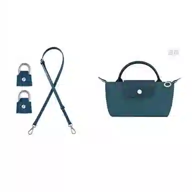 Longchamp Mini