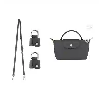 Longchamp Mini