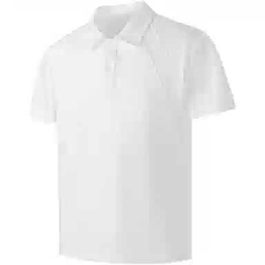 BLUELANDINC Polo