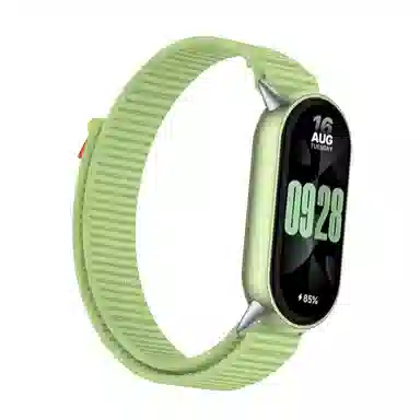 watchbond 98NFC
