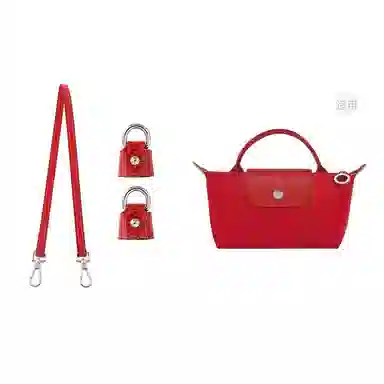 Longchamp Mini Bag Strap