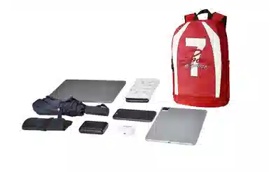 Spare No Pains Backpack