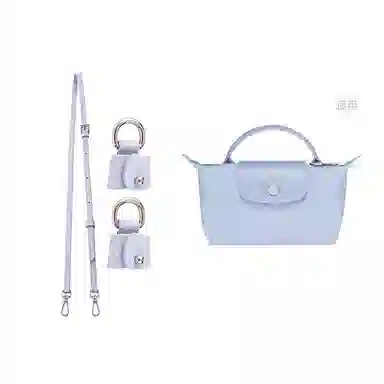 Longchamp Mini