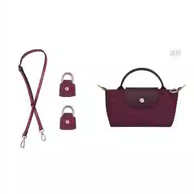 Longchamp Mini