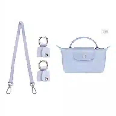 Longchamp Mini Bag Strap