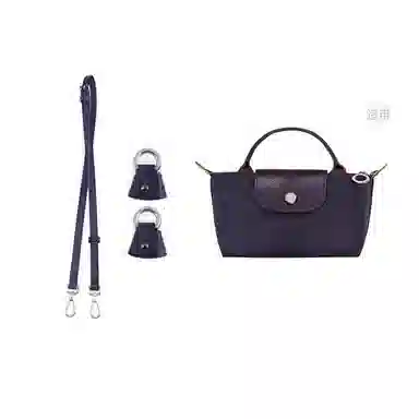 Longchamp Mini