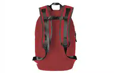 Spare No Pains Backpack