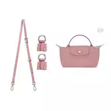 Longchamp Mini