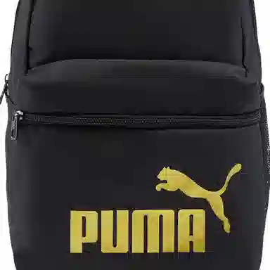 PUMA 16L Logo