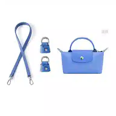 Longchamp Mini Bag Strap