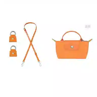 Longchamp Mini