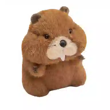 20cm30cm40cm