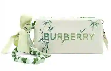 Burberry 22*13*9cm
