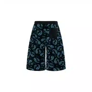 Lanvin SS22 Paisley Shorts