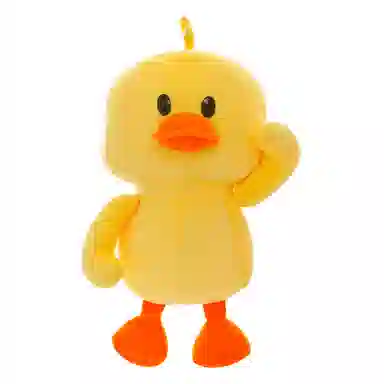 20cm25cm35cm45cm55cm