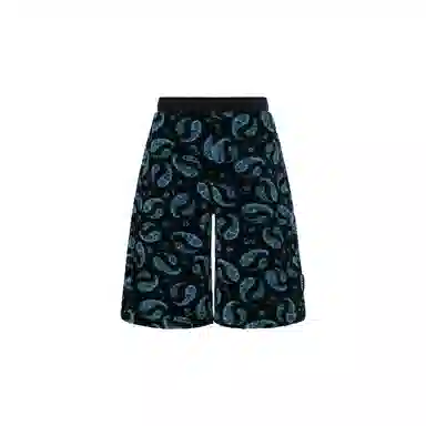 Lanvin SS22 Paisley Shorts