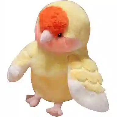 20cm