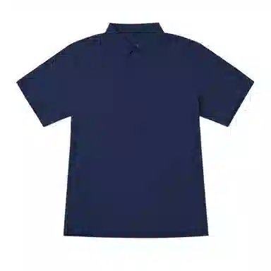 THE NORTH FACE LogoPolo
