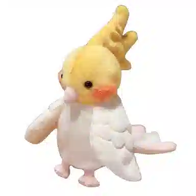 20cm