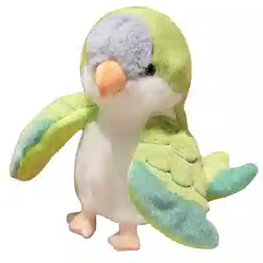 20cm