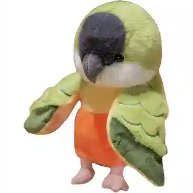 20cm